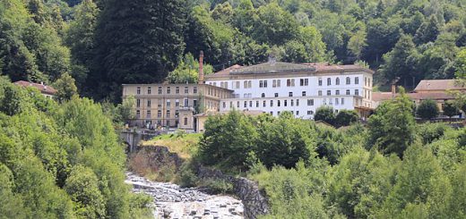 Schokofabrik im Wald